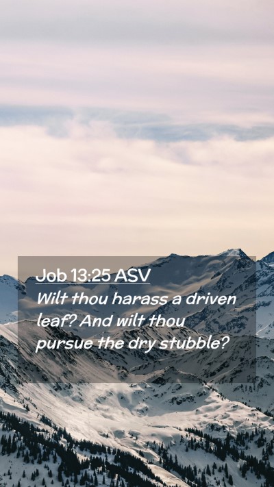 Picture 02 - Job 13:25 ASV Mobile Phone Wallpaper - Wilt thou harass a driven leaf? And wilt thou - Mobile Bible Verse Wallpaper