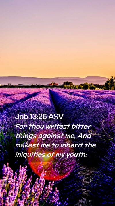 Picture 02 - Job 13:26 ASV Mobile Phone Wallpaper - For thou writest bitter things against me, And - Mobile Bible Verse Wallpaper