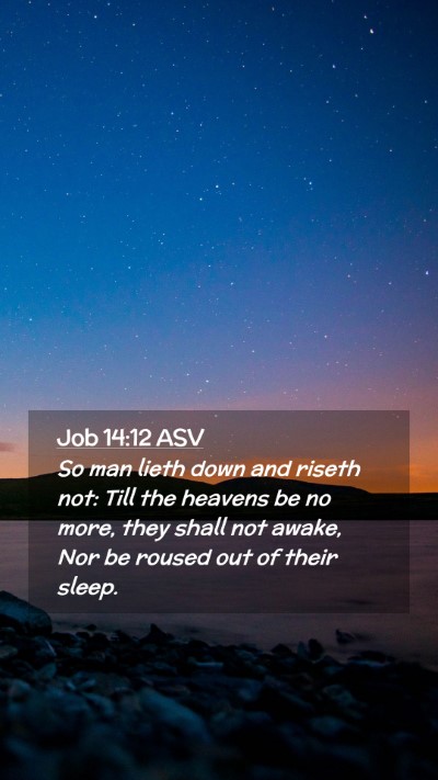 Picture 02 - Job 14:12 ASV Mobile Phone Wallpaper - So man lieth down and riseth not: Till the - Mobile Bible Verse Wallpaper
