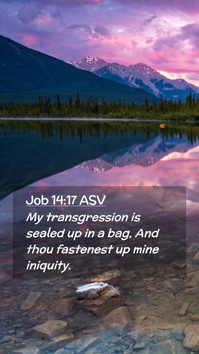 Picture 02 - Job 14:17 ASV Mobile Phone Wallpaper - My transgression is sealed up in a bag, And thou - Mobile Bible Verse Wallpaper