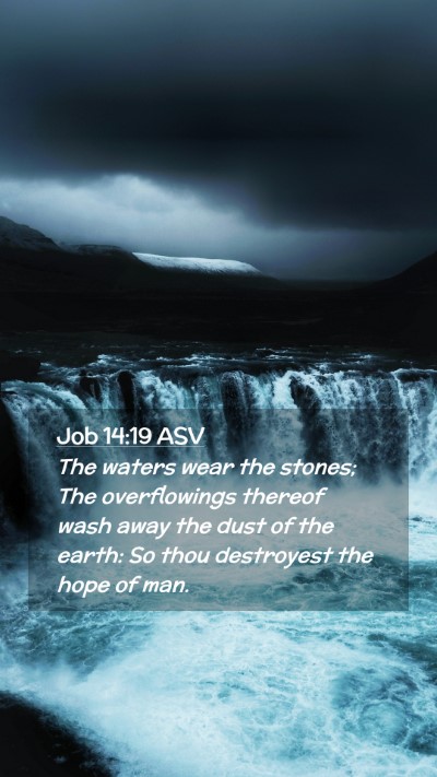 Picture 02 - Job 14:19 ASV Mobile Phone Wallpaper - The waters wear the stones; The overflowings - Mobile Bible Verse Wallpaper