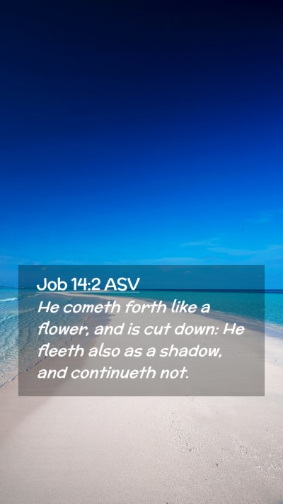 Picture 02 - Job 14:2 ASV Mobile Phone Wallpaper - He cometh forth like a flower, and is cut down: - Mobile Bible Verse Wallpaper