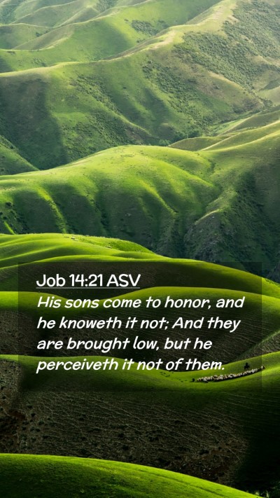 Picture 02 - Job 14:21 ASV Mobile Phone Wallpaper - His sons come to honor, and he knoweth it not; - Mobile Bible Verse Wallpaper