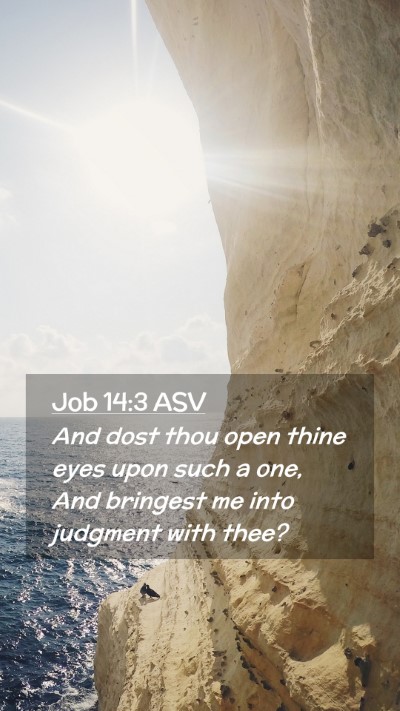 Picture 02 - Job 14:3 ASV Mobile Phone Wallpaper - And dost thou open thine eyes upon such a one, - Mobile Bible Verse Wallpaper