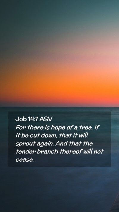 Picture 02 - Job 14:7 ASV Mobile Phone Wallpaper - For there is hope of a tree, If it be cut down, - Mobile Bible Verse Wallpaper