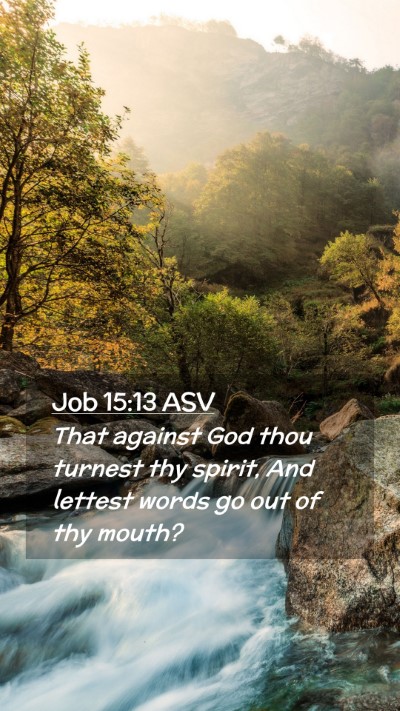 Picture 02 - Job 15:13 ASV Mobile Phone Wallpaper - That against God thou turnest thy spirit, And - Mobile Bible Verse Wallpaper