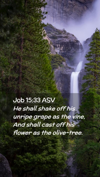 Picture 02 - Job 15:33 ASV Mobile Phone Wallpaper - He shall shake off his unripe grape as the vine, - Mobile Bible Verse Wallpaper