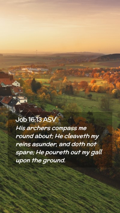 Picture 02 - Job 16:13 ASV Mobile Phone Wallpaper - His archers compass me round about; He cleaveth - Mobile Bible Verse Wallpaper