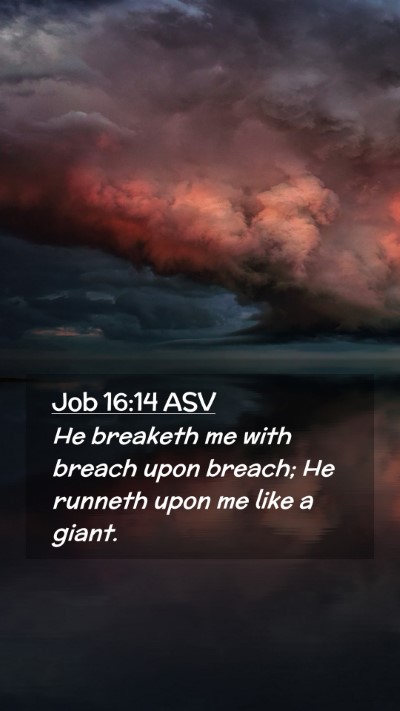Picture 02 - Job 16:14 ASV Mobile Phone Wallpaper - He breaketh me with breach upon breach; He - Mobile Bible Verse Wallpaper