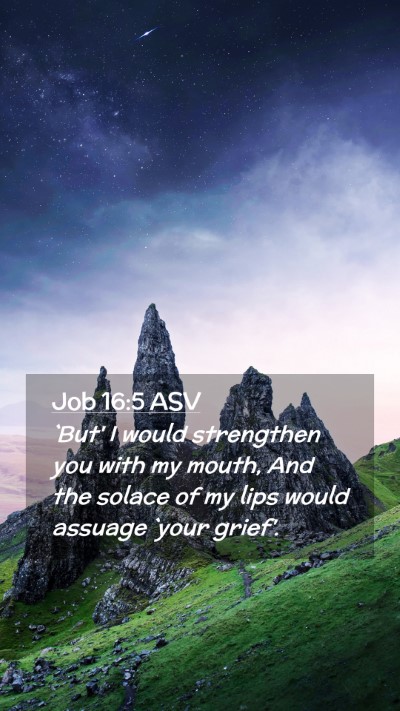 Picture 02 - Job 16:5 ASV Mobile Phone Wallpaper - `But' I would strengthen you with my mouth, And - Mobile Bible Verse Wallpaper