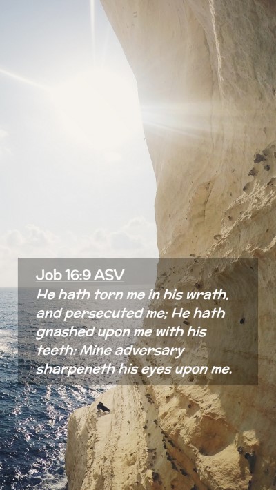 Picture 02 - Job 16:9 ASV Mobile Phone Wallpaper - He hath torn me in his wrath, and persecuted me; - Mobile Bible Verse Wallpaper