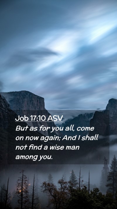 Picture 02 - Job 17:10 ASV Mobile Phone Wallpaper - But as for you all, come on now again; And I - Mobile Bible Verse Wallpaper