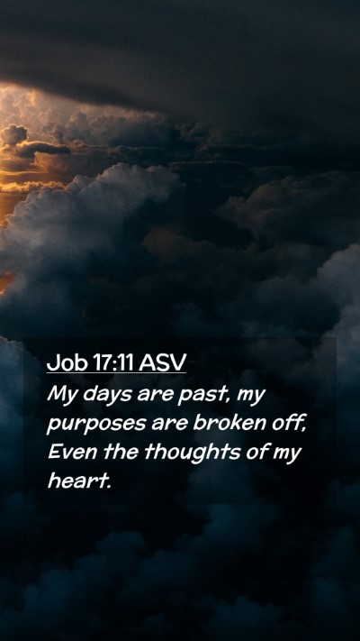 Picture 02 - Job 17:11 ASV Mobile Phone Wallpaper - My days are past, my purposes are broken off, - Mobile Bible Verse Wallpaper