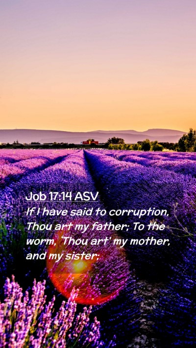 Picture 02 - Job 17:14 ASV Mobile Phone Wallpaper - If I have said to corruption, Thou art my father; - Mobile Bible Verse Wallpaper