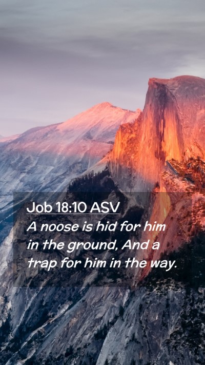 Picture 02 - Job 18:10 ASV Mobile Phone Wallpaper - A noose is hid for him in the ground, And a trap - Mobile Bible Verse Wallpaper