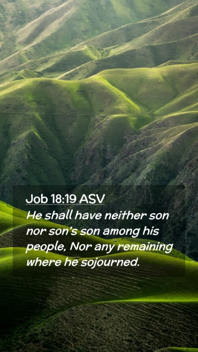 Picture 02 - Job 18:19 ASV Mobile Phone Wallpaper - He shall have neither son nor son's son among his - Mobile Bible Verse Wallpaper