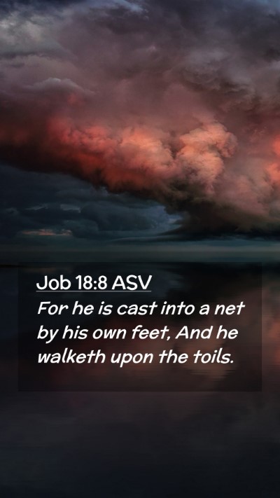 Picture 02 - Job 18:8 ASV Mobile Phone Wallpaper - For he is cast into a net by his own feet, And he - Mobile Bible Verse Wallpaper