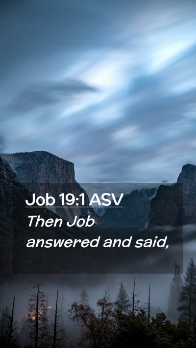 Picture 02 - Job 19:1 ASV Mobile Phone Wallpaper - Then Job answered and - Mobile Bible Verse Wallpaper