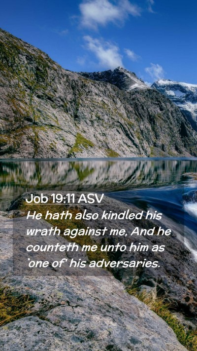 Picture 02 - Job 19:11 ASV Mobile Phone Wallpaper - He hath also kindled his wrath against me, And he - Mobile Bible Verse Wallpaper