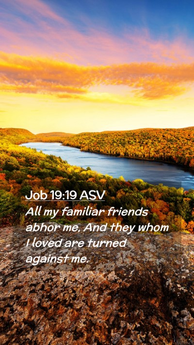 Picture 02 - Job 19:19 ASV Mobile Phone Wallpaper - All my familiar friends abhor me, And they whom I - Mobile Bible Verse Wallpaper