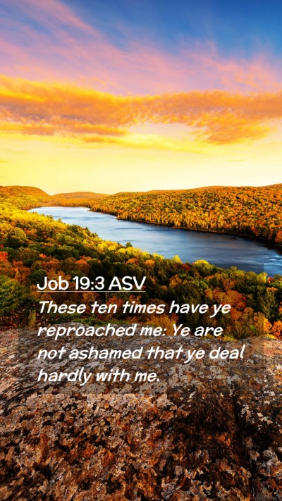 Picture 02 - Job 19:3 ASV Mobile Phone Wallpaper - These ten times have ye reproached me: Ye are not - Mobile Bible Verse Wallpaper