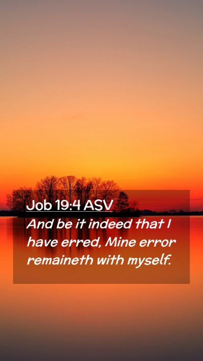 Picture 02 - Job 19:4 ASV Mobile Phone Wallpaper - And be it indeed that I have erred, Mine error - Mobile Bible Verse Wallpaper