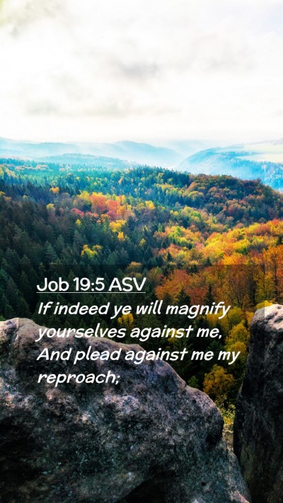 Picture 02 - Job 19:5 ASV Mobile Phone Wallpaper - If indeed ye will magnify yourselves against me, - Mobile Bible Verse Wallpaper
