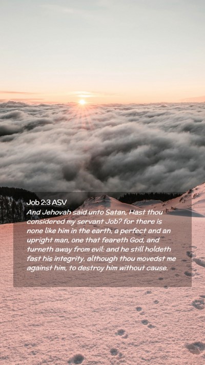 Picture 02 - Job 2:3 ASV Mobile Phone Wallpaper - And Jehovah said unto Satan, Hast thou considered - Mobile Bible Verse Wallpaper