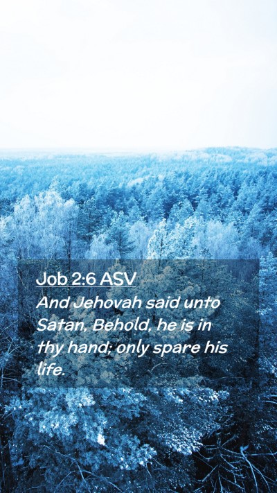 Picture 02 - Job 2:6 ASV Mobile Phone Wallpaper - And Jehovah said unto Satan, Behold, he is in thy - Mobile Bible Verse Wallpaper