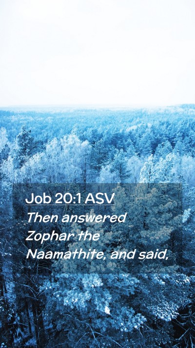 Picture 02 - Job 20:1 ASV Mobile Phone Wallpaper - Then answered Zophar the Naamathite, and - Mobile Bible Verse Wallpaper