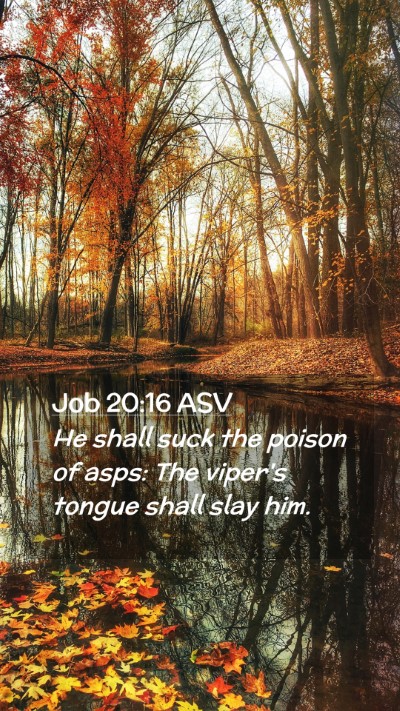 Picture 02 - Job 20:16 ASV Mobile Phone Wallpaper - He shall suck the poison of asps: The viper's - Mobile Bible Verse Wallpaper
