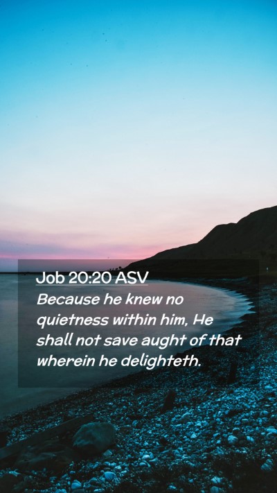 Picture 02 - Job 20:20 ASV Mobile Phone Wallpaper - Because he knew no quietness within him, He shall - Mobile Bible Verse Wallpaper