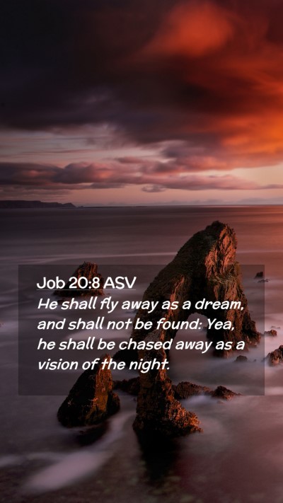 Picture 02 - Job 20:8 ASV Mobile Phone Wallpaper - He shall fly away as a dream, and shall not be - Mobile Bible Verse Wallpaper