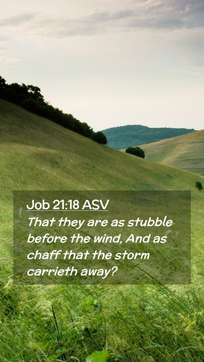 Picture 02 - Job 21:18 ASV Mobile Phone Wallpaper - That they are as stubble before the wind, And as - Mobile Bible Verse Wallpaper