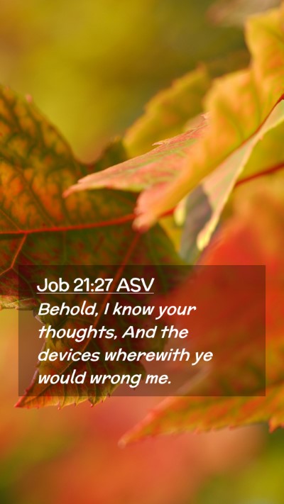 Picture 02 - Job 21:27 ASV Mobile Phone Wallpaper - Behold, I know your thoughts, And the devices - Mobile Bible Verse Wallpaper