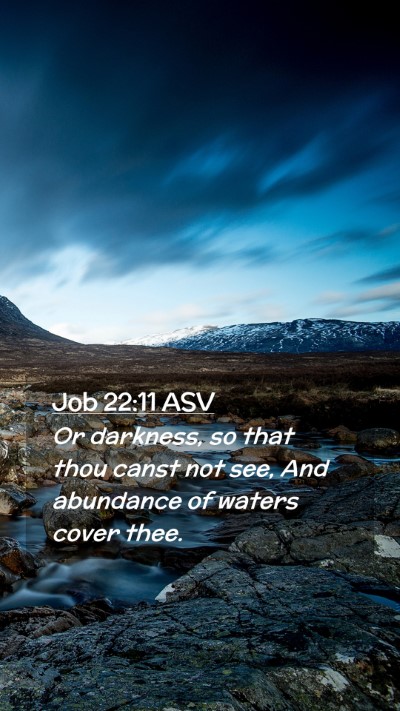 Picture 02 - Job 22:11 ASV Mobile Phone Wallpaper - Or darkness, so that thou canst not see, And - Mobile Bible Verse Wallpaper