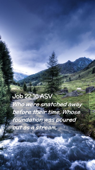 Picture 02 - Job 22:16 ASV Mobile Phone Wallpaper - Who were snatched away before their time, Whose - Mobile Bible Verse Wallpaper