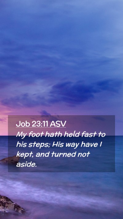 Picture 02 - Job 23:11 ASV Mobile Phone Wallpaper - My foot hath held fast to his steps; His way have - Mobile Bible Verse Wallpaper
