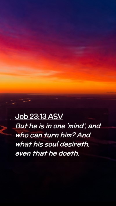 Picture 02 - Job 23:13 ASV Mobile Phone Wallpaper - But he is in one `mind', and who can turn him? - Mobile Bible Verse Wallpaper