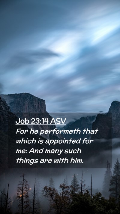 Picture 02 - Job 23:14 ASV Mobile Phone Wallpaper - For he performeth that which is appointed for me: - Mobile Bible Verse Wallpaper