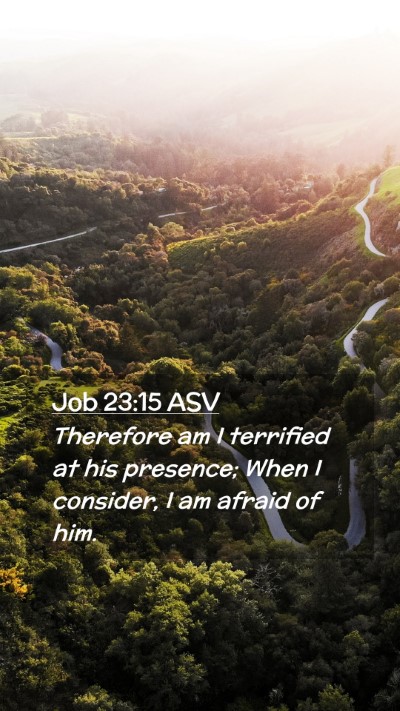 Picture 02 - Job 23:15 ASV Mobile Phone Wallpaper - Therefore am I terrified at his presence; When I - Mobile Bible Verse Wallpaper