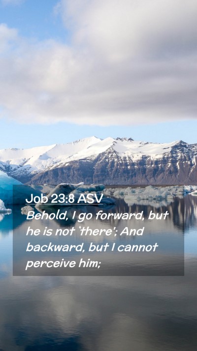 Picture 02 - Job 23:8 ASV Mobile Phone Wallpaper - Behold, I go forward, but he is not `there'; And - Mobile Bible Verse Wallpaper