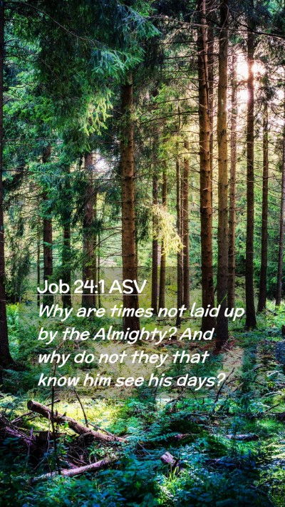 Picture 02 - Job 24:1 ASV Mobile Phone Wallpaper - Why are times not laid up by the Almighty? And - Mobile Bible Verse Wallpaper