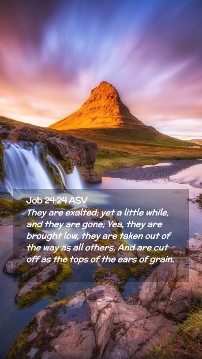 Picture 02 - Job 24:24 ASV Mobile Phone Wallpaper - They are exalted; yet a little while, and they - Mobile Bible Verse Wallpaper