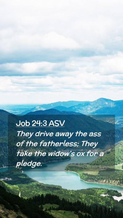 Picture 02 - Job 24:3 ASV Mobile Phone Wallpaper - They drive away the ass of the fatherless; They - Mobile Bible Verse Wallpaper