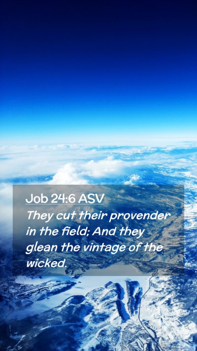 Picture 02 - Job 24:6 ASV Mobile Phone Wallpaper - They cut their provender in the field; And they - Mobile Bible Verse Wallpaper