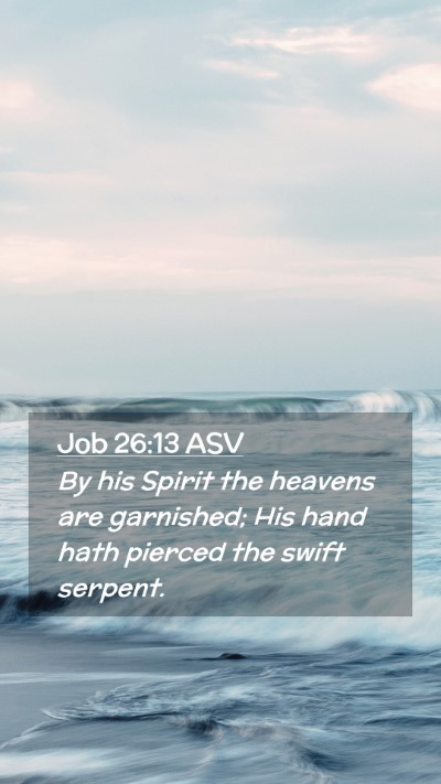 Picture 02 - Job 26:13 ASV Mobile Phone Wallpaper - By his Spirit the heavens are garnished; His hand - Mobile Bible Verse Wallpaper