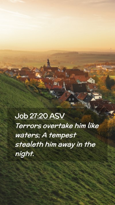 Picture 02 - Job 27:20 ASV Mobile Phone Wallpaper - Terrors overtake him like waters; A tempest - Mobile Bible Verse Wallpaper
