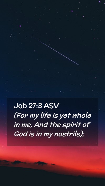 Picture 02 - Job 27:3 ASV Mobile Phone Wallpaper - (For my life is yet whole in me, And the spirit - Mobile Bible Verse Wallpaper
