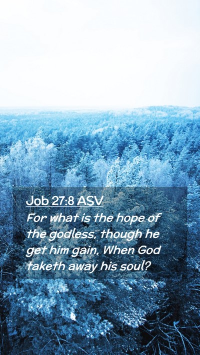 Picture 02 - Job 27:8 ASV Mobile Phone Wallpaper - For what is the hope of the godless, though he - Mobile Bible Verse Wallpaper